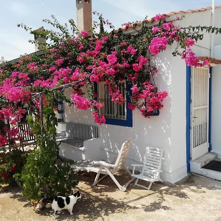 Finca La Joya Torreblanca Exteriér fotografie