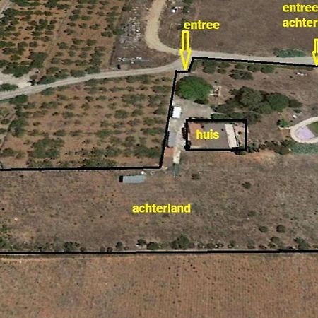 Finca La Joya Torreblanca Exteriér fotografie