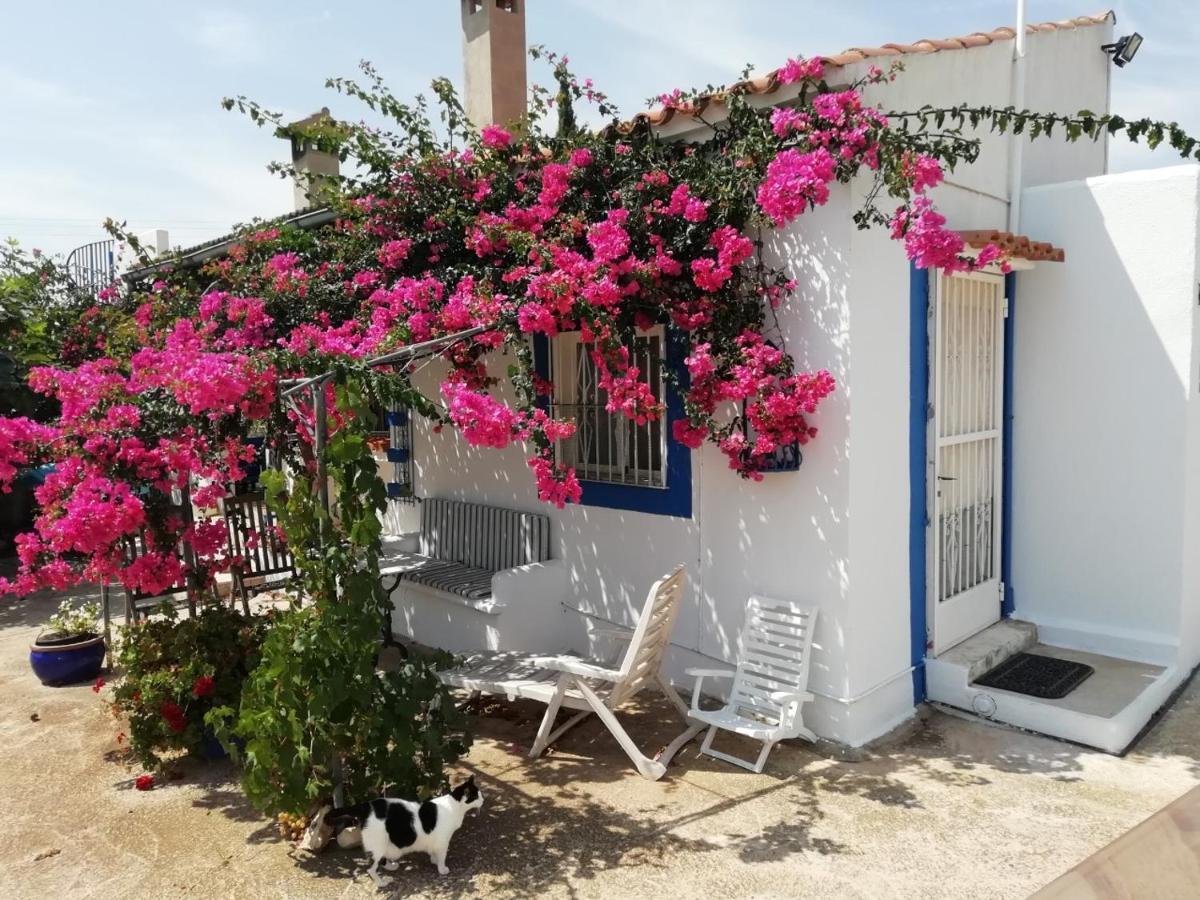 Finca La Joya Torreblanca Exteriér fotografie
