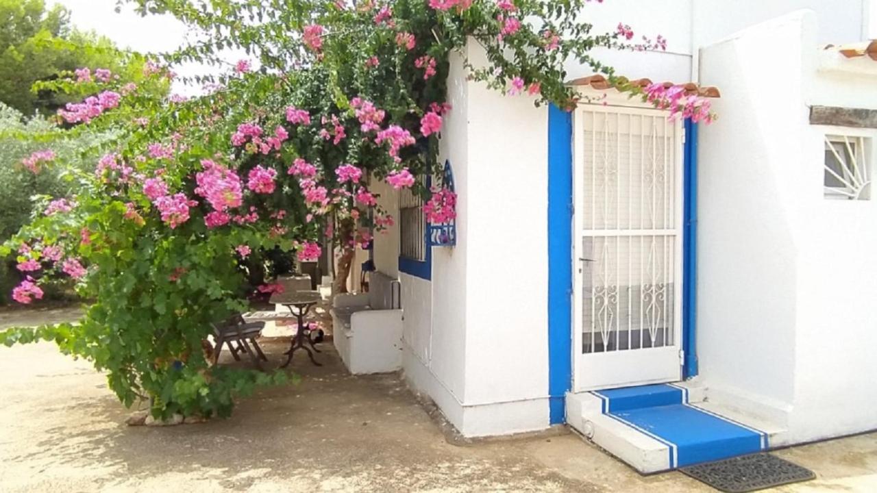 Finca La Joya Torreblanca Exteriér fotografie