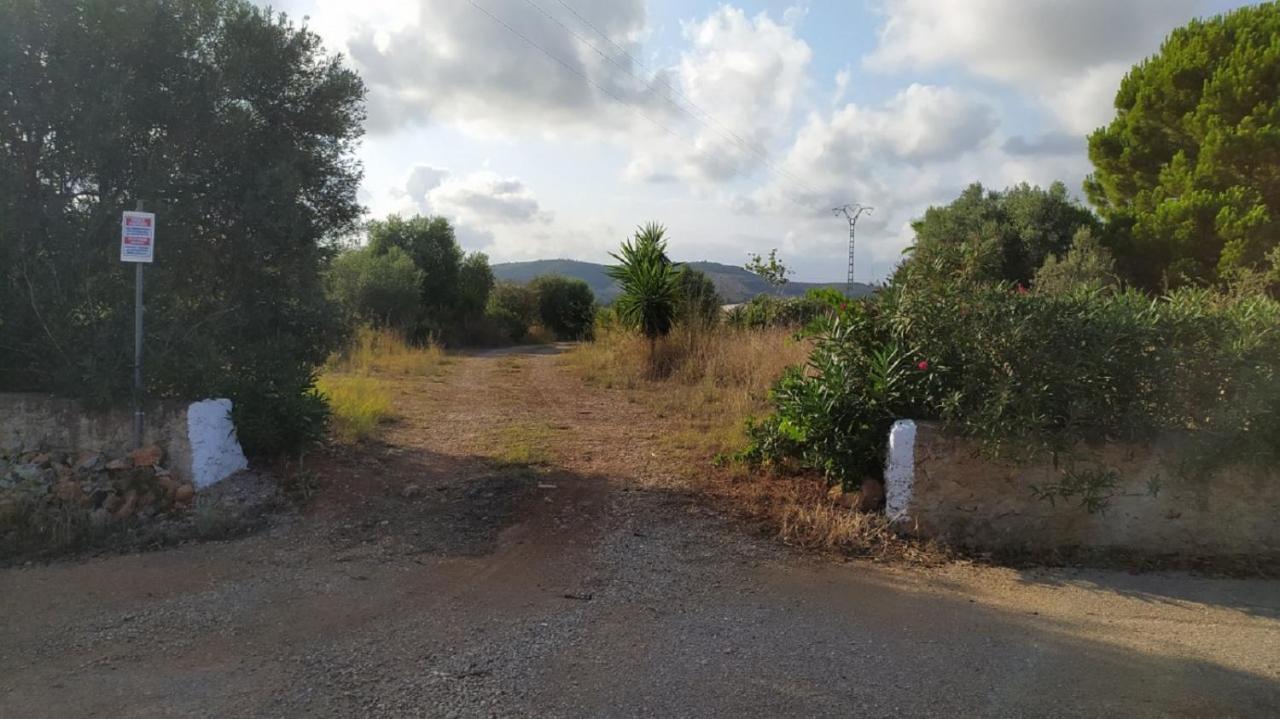 Finca La Joya Torreblanca Exteriér fotografie