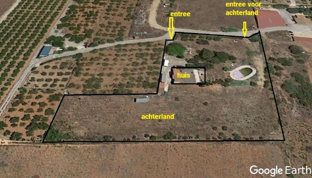 Finca La Joya Torreblanca Exteriér fotografie